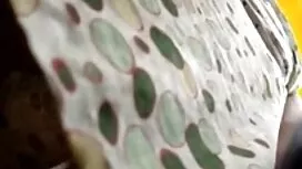 Kolam renang cerita  ...