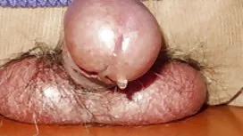 Dengan kegembiraan s ...