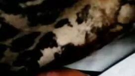 Amatur yang terperan ...