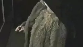 Seorang lelaki jolok ...